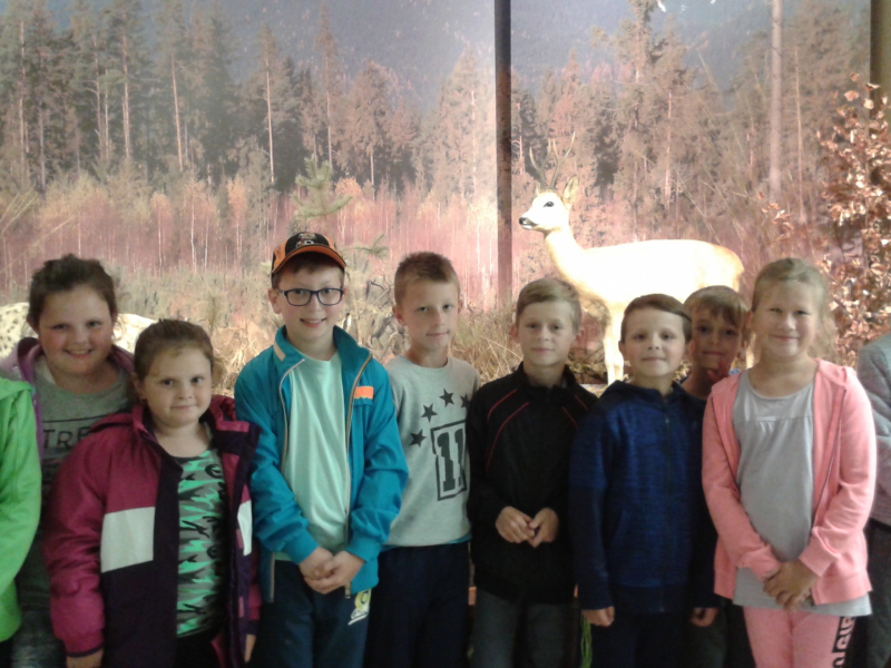 Školský výlet - Chodník korunami stromov 2018