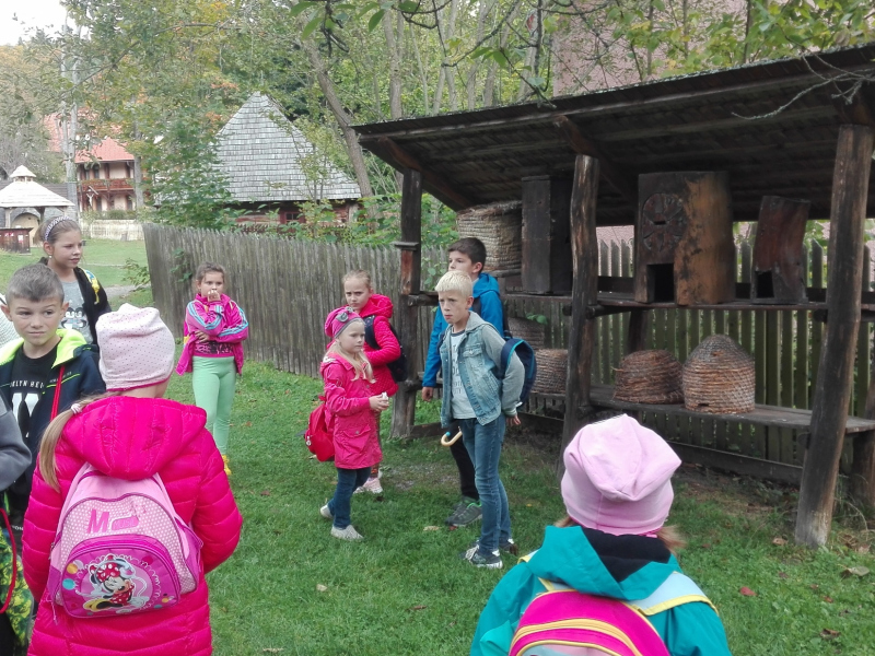 Kino Bardejovské Kúpele a skanzen 2019/2020