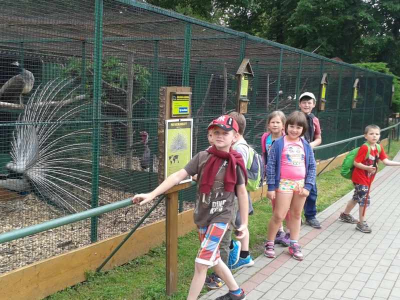 Školský výlet 2017 - Dobšinská ľadová jaskyňa, ZOO Spišská Nová 