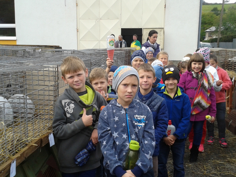 Výstava drobnochovateľov 2017/2018