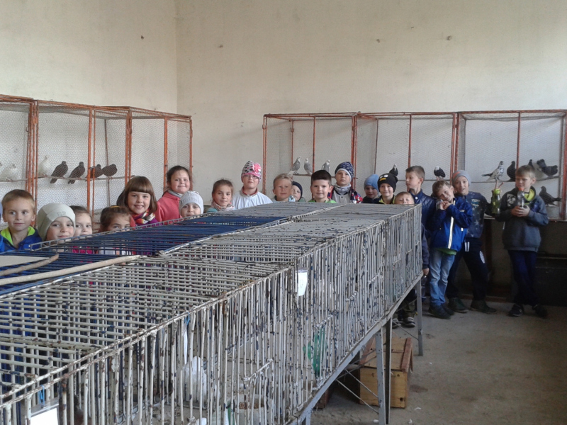 Výstava drobnochovateľov 2017/2018